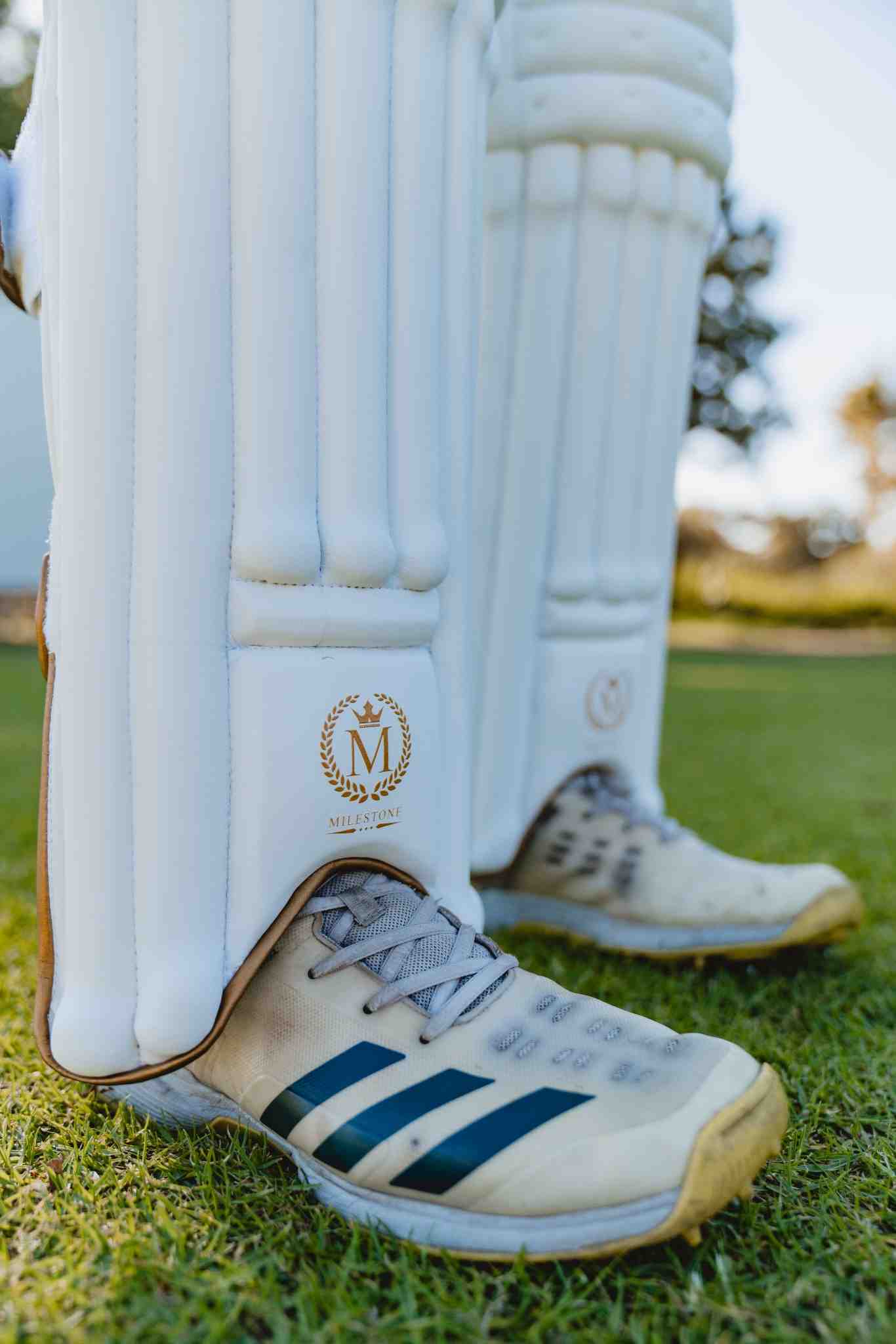 Milestone Elite Batting Pads 2024/25