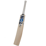 SS TON Ryan Rickelton Gladiator English Willow Cricket Bat – Size 6