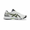 Asics 350 Not Out FF Crciket Spikes