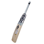 DSC Pearla 350 English Willow Cricket Bat – SH Parallel Import