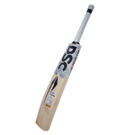 DSC Pearla 300 English Willow Cricket Bat – SH Parallrel Import