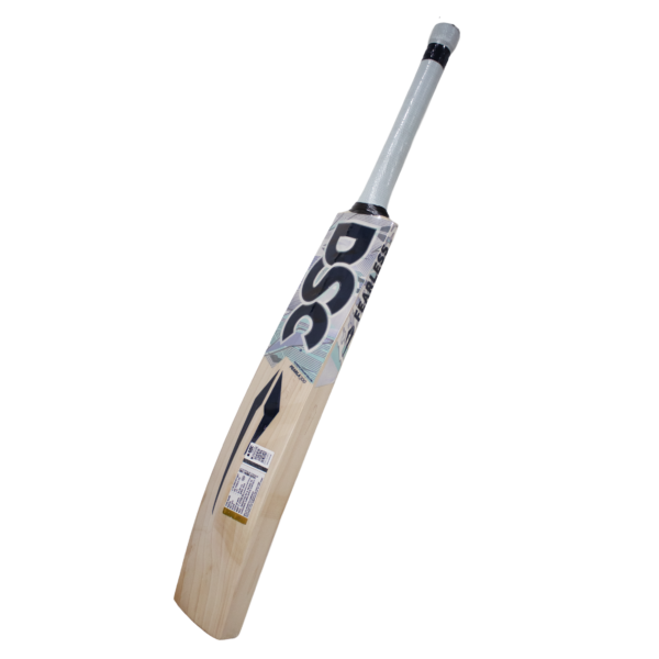 DSC Pearla 350 English Willow Cricket Bat – SH Parallel Import