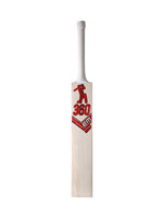EM 360 Bold English Willow Cricket Bat – Harrow Parallel Import