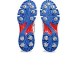 Asics Gel – Gully 7 White Pure Silver Cricket Spikes