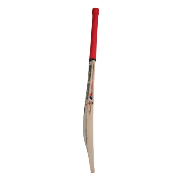 SS QDK Elite Cricket Bat – Size Harrow