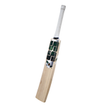 SS Players Colt Tim David E.W Cricket Bat – Size 4