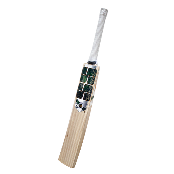 SS Players Colt Tim David E.W Cricket Bat – Size 4