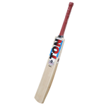 SS TON Maximus Kashmir Willow Cricket Bat – Size 2
