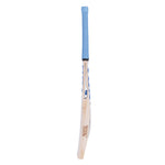 SS TON Elite E.W Cricket Bat – Harrow