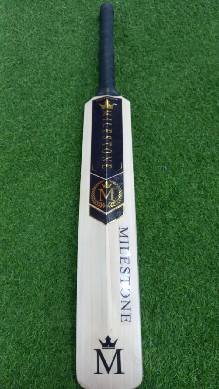 Milestone Demo Bat SH Fortress