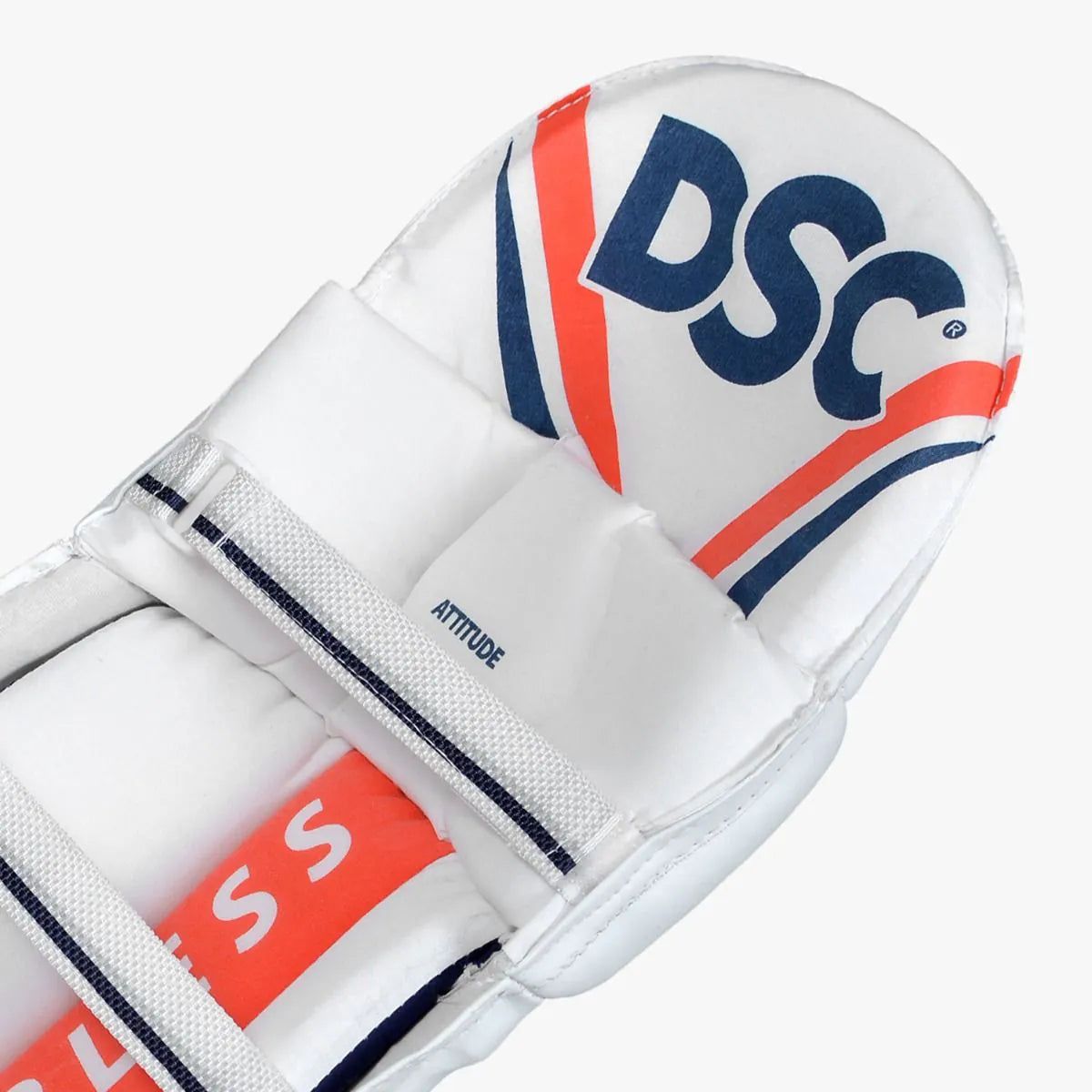 DSC Attitude Batting Pads – BRH – Parallel Import
