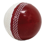 Poly Cricket Ball