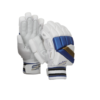 SF Hero Cricket Batting Gloves – Adults RH